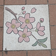 DSC00025.jpg