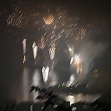 DSC00203.jpg
