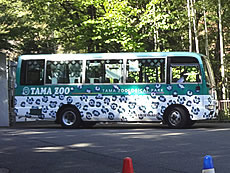 DSC00260.JPG