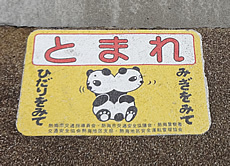 DSC00368.jpg