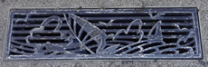 DSC00450.JPG