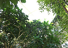 DSC00481.jpg