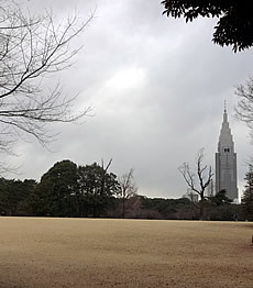 DSC01037.jpg