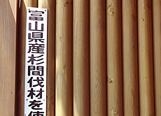 DSC01209.jpg