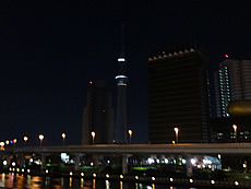 DSC01896.jpg