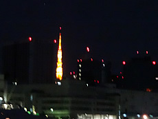 DSC01911.jpg