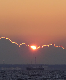 DSC02018.jpg
