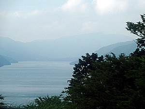DSC03684.jpg