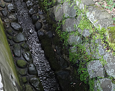 DSC03814.jpg