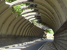 DSC03818.jpg
