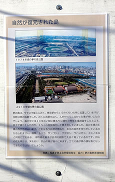 DSC05148.jpg