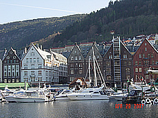 DSC05321.jpg
