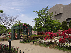 DSC06458.JPG