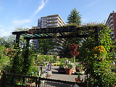DSC06933.JPG