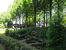 DSC06966.JPG