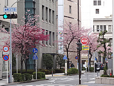 DSC09633.JPG