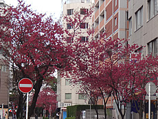 DSC09922.JPG