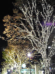omotesando.jpg